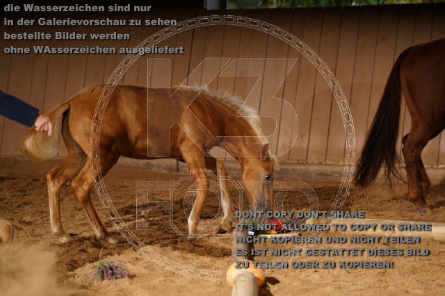 s_K3F05198.JPG